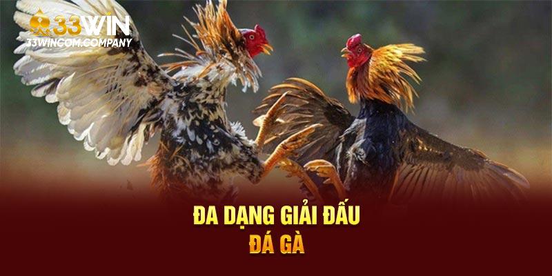 Đa dạng giải đấu đá gà