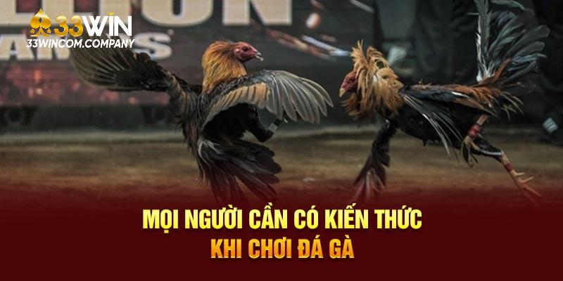 Mọi người cần có kiến thức trước khi trải nghiệm các trận đấu