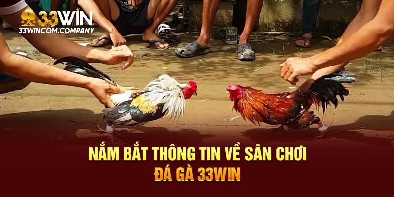 Nắm bắt thông tin về sân chơi đá gà tại 33WIN